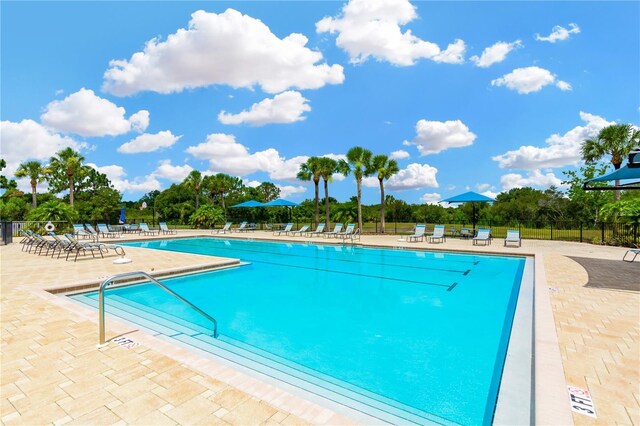 view of pool featuring a patio area