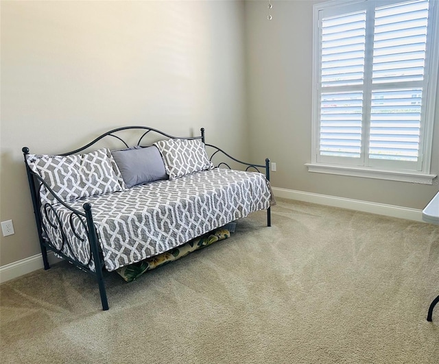 bedroom with carpet floors