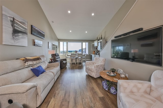 living room featuring high vaulted ceiling and dark hardwood / wood-style floors