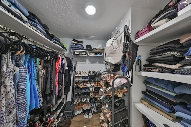 spacious closet featuring wood-type flooring