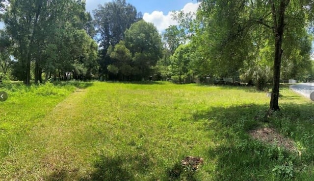 Listing photo 3 for Rowland Dr, Odessa FL 33556