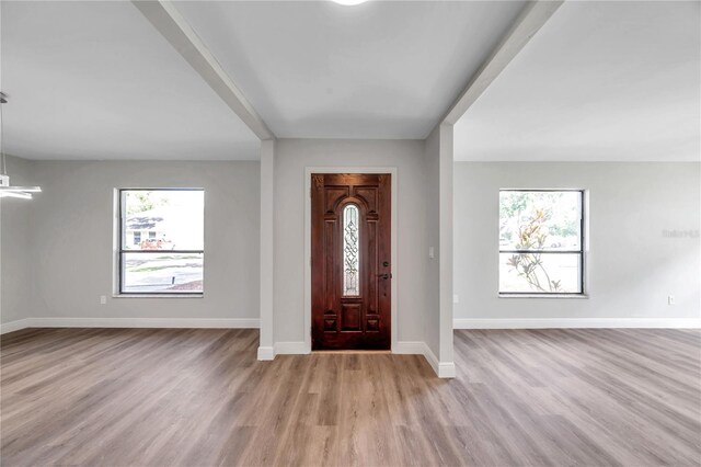 entryway featuring plenty of natural light and light wood-type flooring