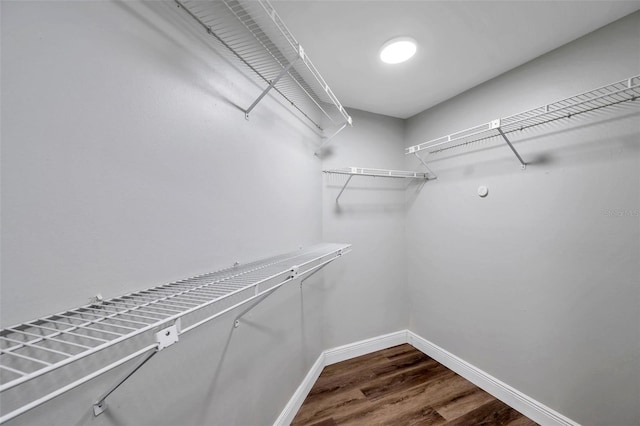 walk in closet with hardwood / wood-style floors