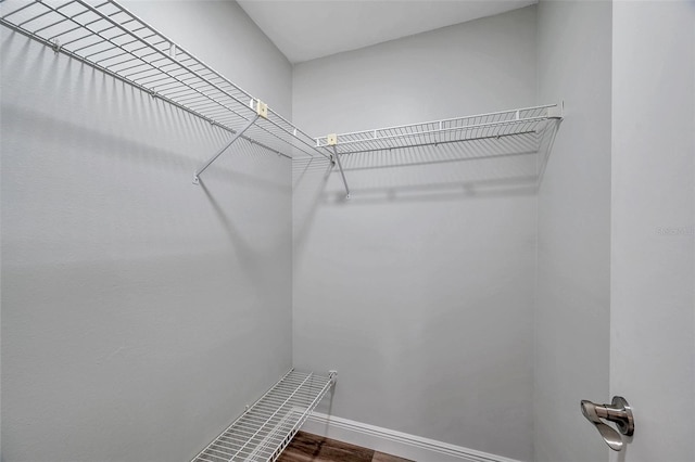 spacious closet with hardwood / wood-style floors