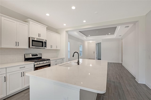 kitchen with sink, stainless steel appliances, a raised ceiling, a kitchen island with sink, and white cabinets