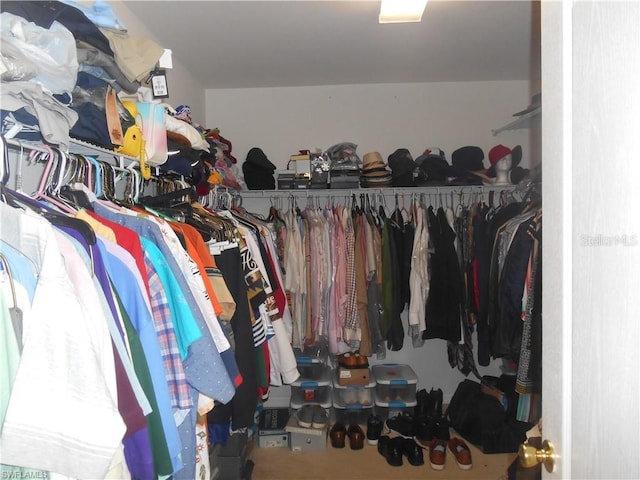 view of walk in closet