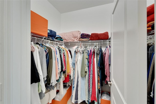 view of spacious closet