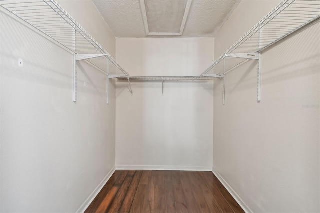 spacious closet with dark hardwood / wood-style flooring