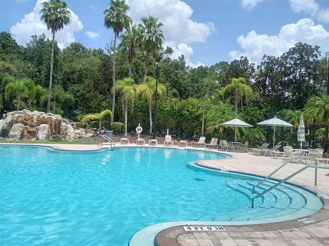 view of pool featuring a patio