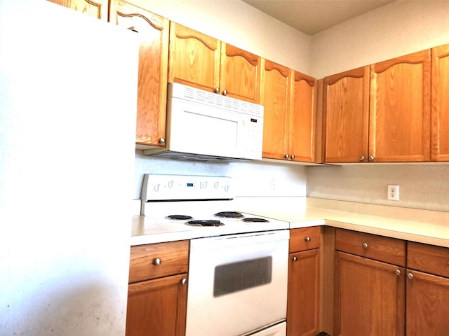 5125 Palm Springs Blvd Unit 1303, Tampa, FL 33647 - photo 8