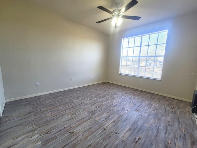 5125 Palm Springs Blvd Unit 1303, Tampa, FL 33647 - photo 13