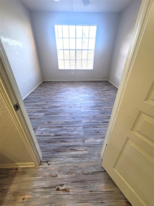 5125 Palm Springs Blvd Unit 1303, Tampa, FL 33647 - photo 23