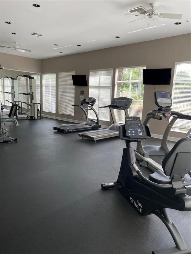 5125 Palm Springs Blvd Unit 1303, Tampa, FL 33647 - photo 41