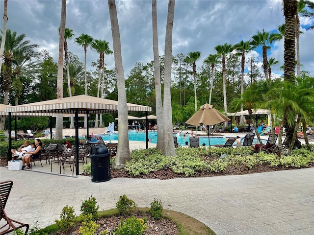 view of pool with a patio