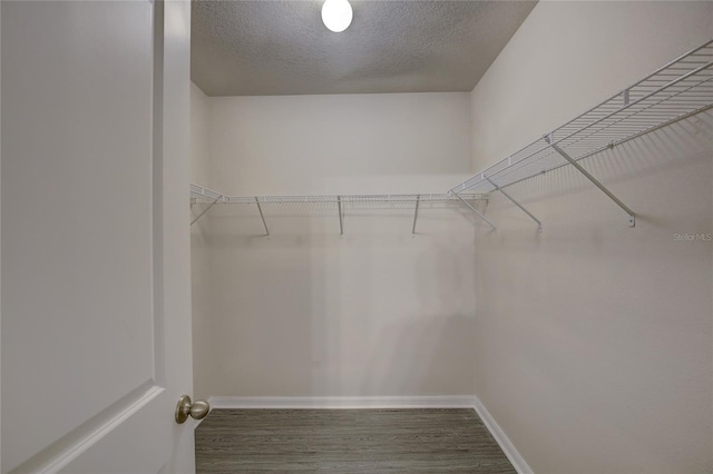 walk in closet with hardwood / wood-style flooring