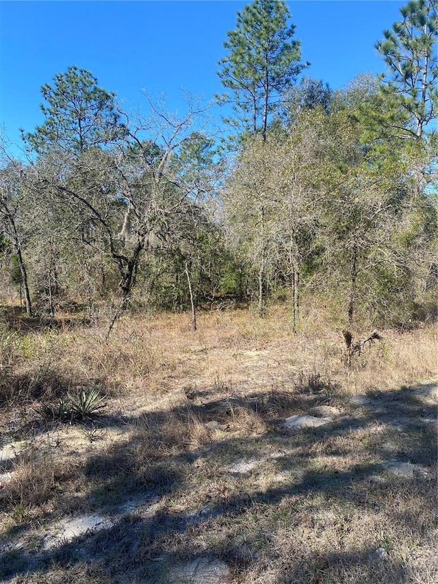 14307 Earline Rd, Weeki Wachee FL, 34614 land for sale