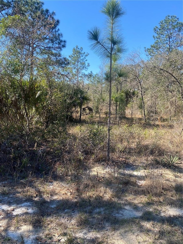 Listing photo 3 for 14307 Earline Rd, Weeki Wachee FL 34614