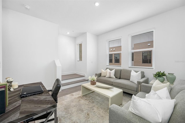 living room featuring wood-type flooring