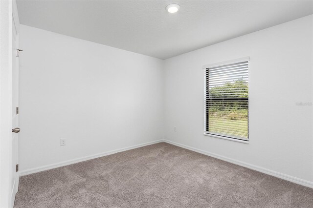 carpeted empty room featuring a textured ceiling