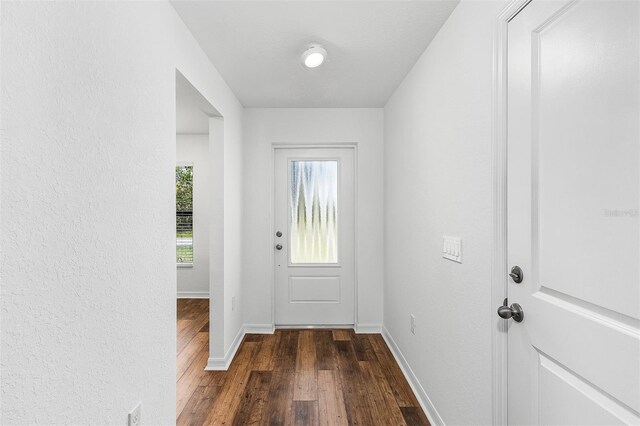 doorway to outside featuring dark hardwood / wood-style flooring