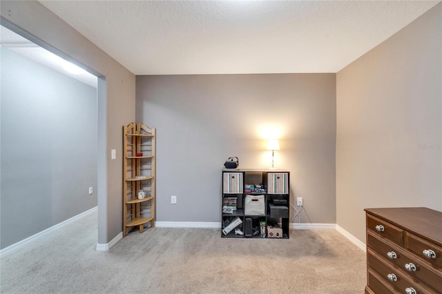 misc room with light colored carpet and a textured ceiling