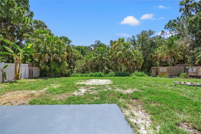 view of yard featuring a patio area