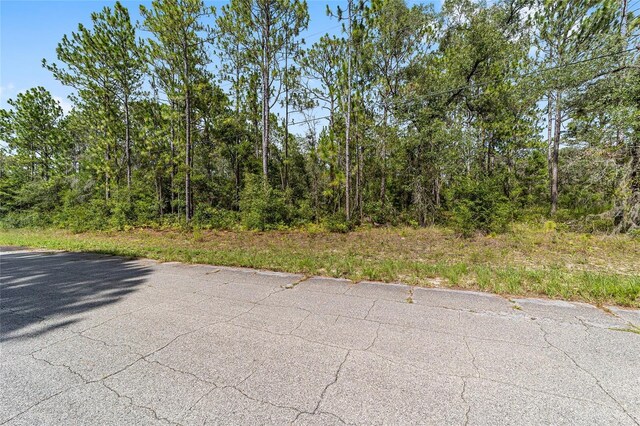 7515 N Windbrook Dr, Citrus Springs FL, 34433 land for sale