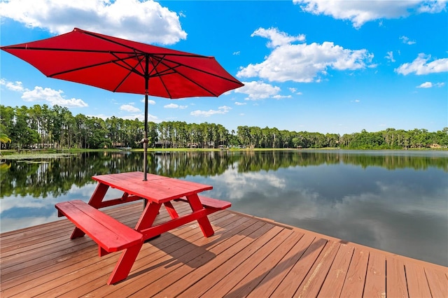 dock area with a water view