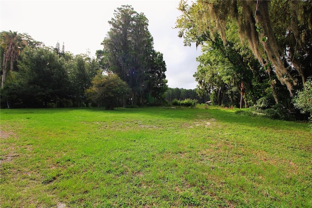 Listing photo 3 for 13826 Windfall Ln, Odessa FL 33556