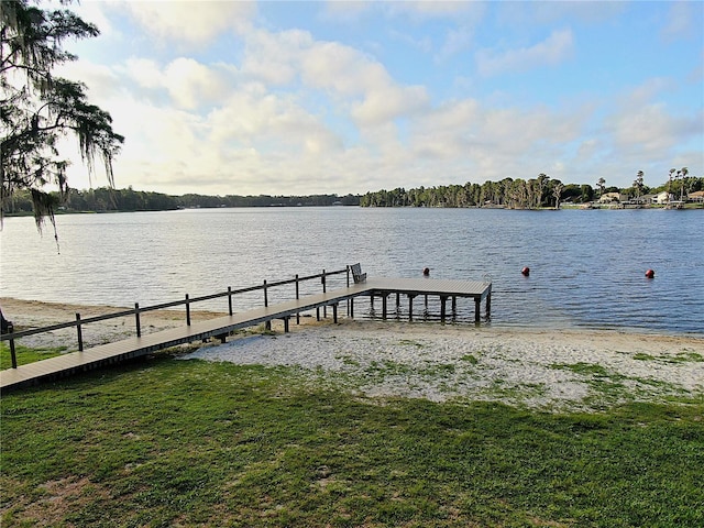 13826 Windfall Ln, Odessa, FL 33556 - photo 1