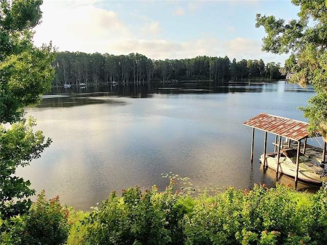 13826 Windfall Ln, Odessa, FL 33556 - photo 2
