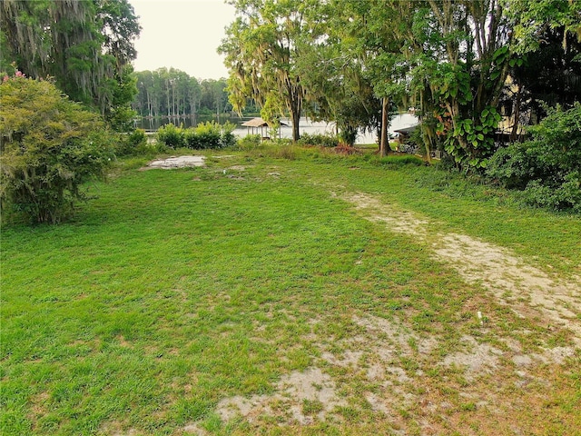 13826 Windfall Ln, Odessa, FL 33556 - photo 3