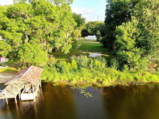 13826 Windfall Ln, Odessa, FL 33556 - photo 5