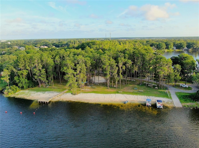 13826 Windfall Ln, Odessa, FL 33556 - photo 8