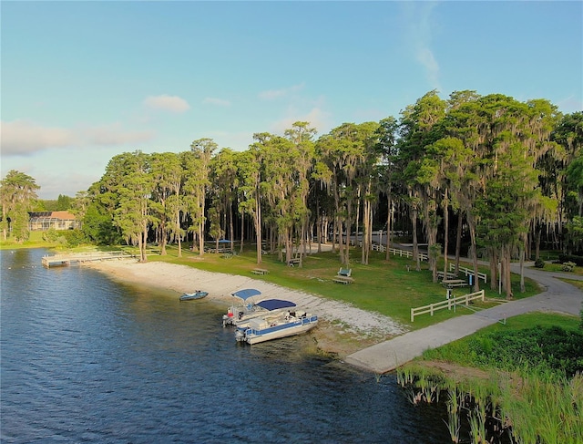 13826 Windfall Ln, Odessa, FL 33556 - photo 9