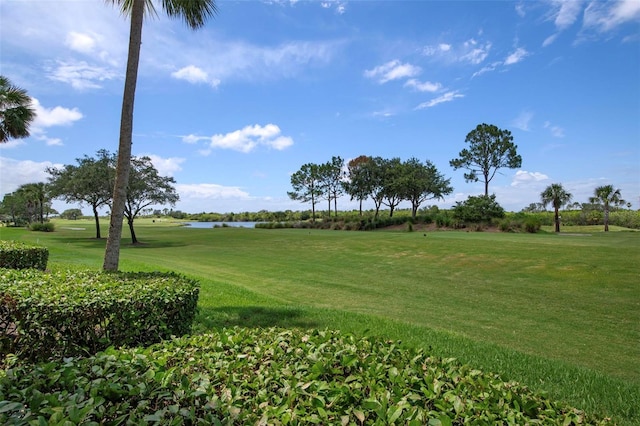 view of home's community with a water view and a lawn