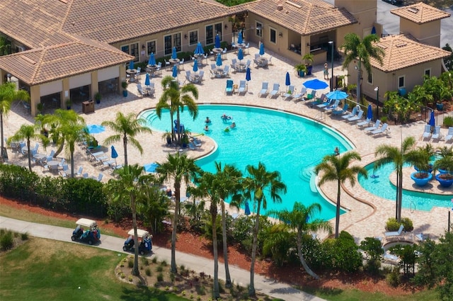 view of swimming pool featuring a patio area