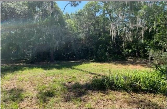 6501 Gant Rd, Tampa, FL 33625