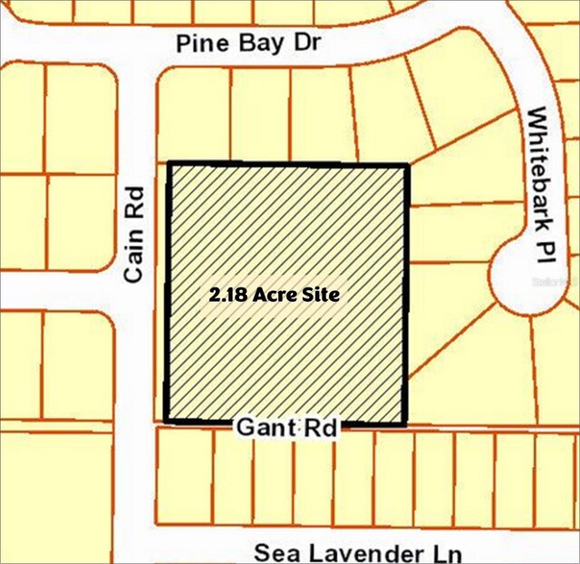 6501 Gant Rd, Tampa, FL 33625