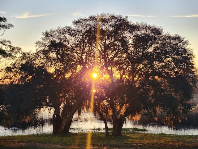 view of nature at dusk