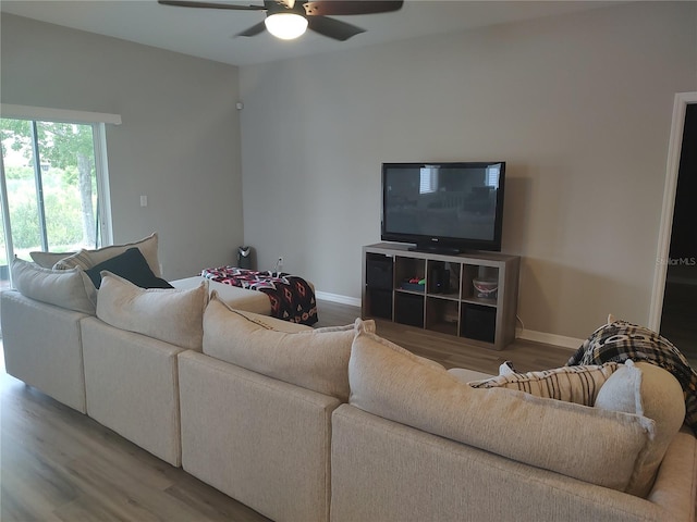 living room featuring hardwood / wood-style flooring and ceiling fan