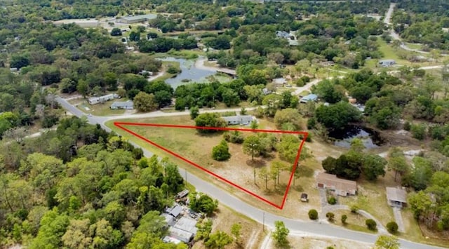 Listing photo 2 for Indian Trail Rd, Weeki Wachee FL 34613