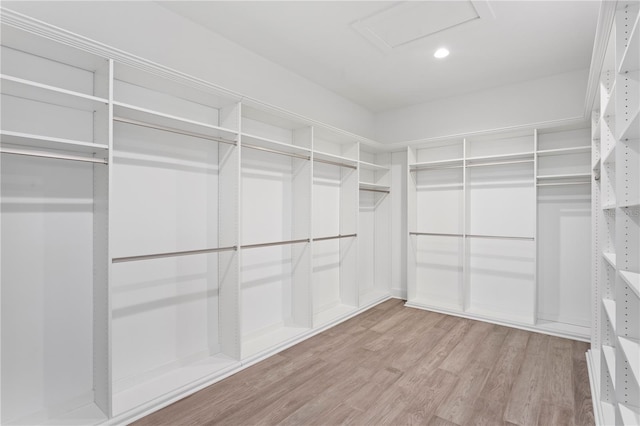 walk in closet featuring light wood-style floors