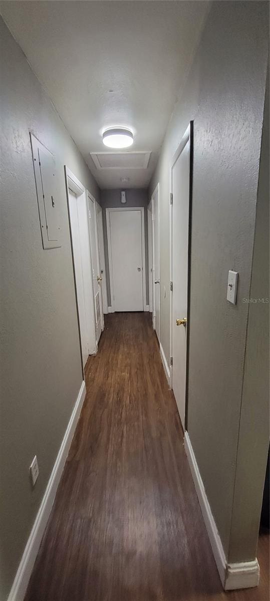 hallway featuring dark wood-type flooring