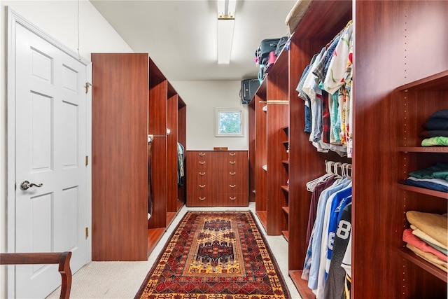 spacious closet featuring carpet flooring