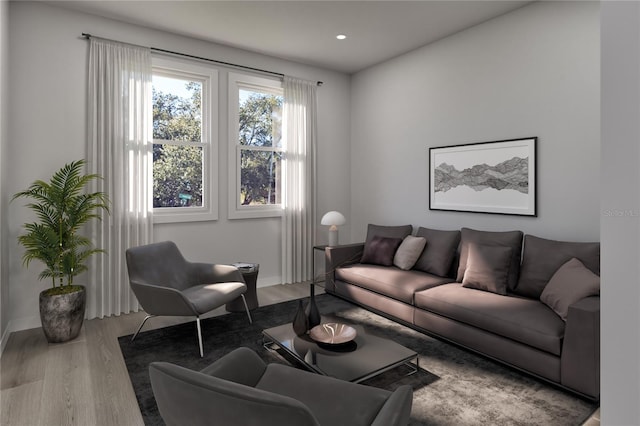 living room with hardwood / wood-style flooring