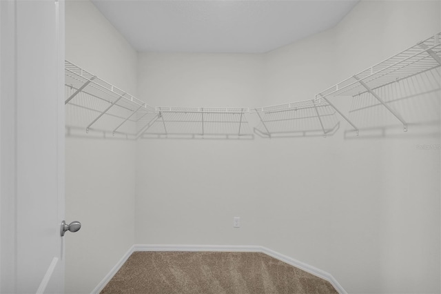 4423 SW 171st Pl, Ocala, FL 34473 - photo 12