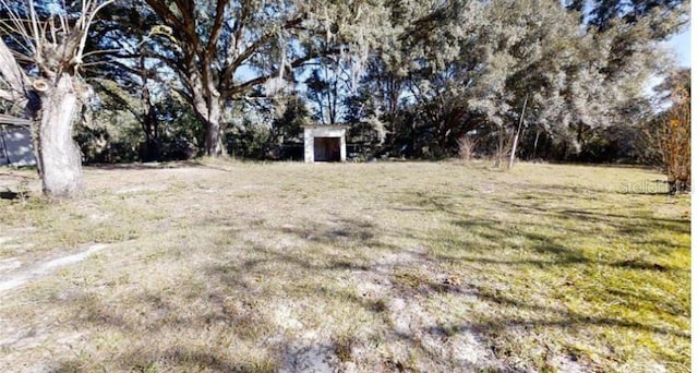 view of yard featuring a storage shed