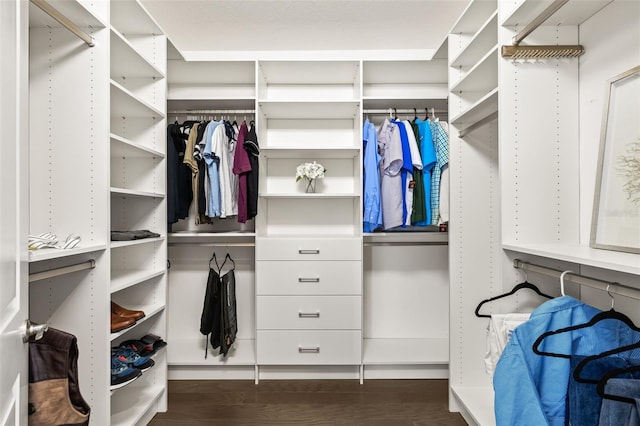 spacious closet featuring dark hardwood / wood-style floors