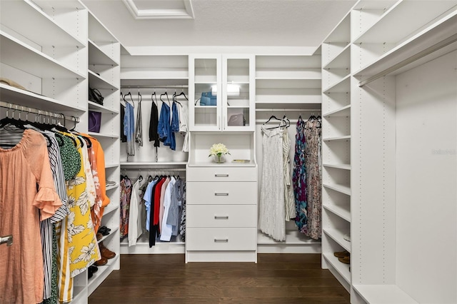 spacious closet featuring dark hardwood / wood-style flooring